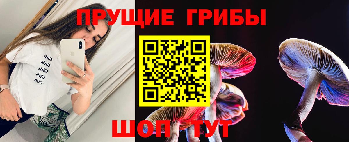 хочу   Вход с VPN  Чернушка  Галлюциногенные грибы Psilocybe  Псилоцибиновые грибы GOLDEN TEACHER 