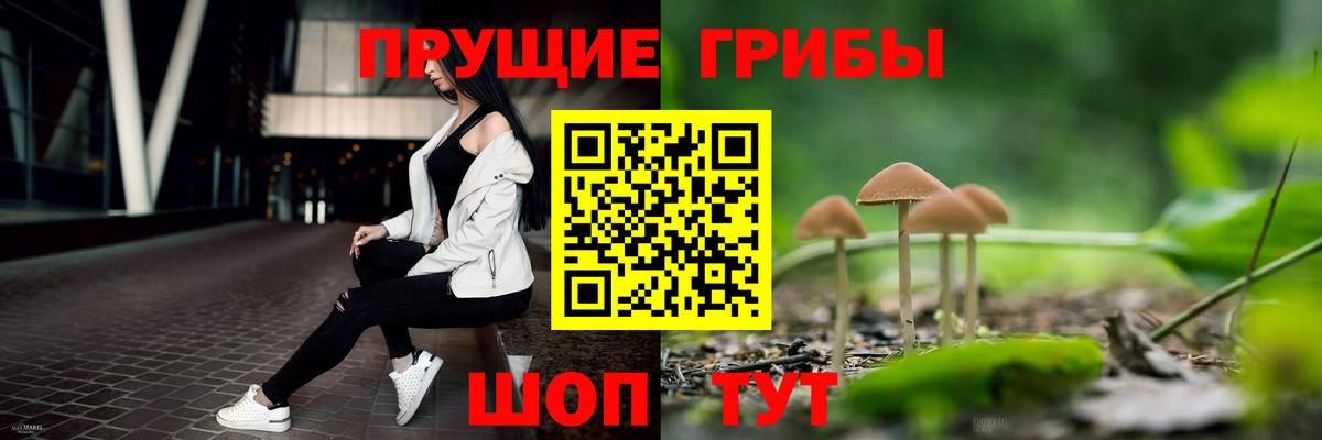 Галлюциногенные грибы Psilocybine cubensis Чернушка